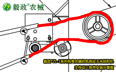 毅政牌ZL1系列有離合器的免剝皮玉米脫粒機，主傳動三角帶正確安裝