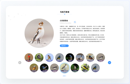 交互設(shè)計、UI設(shè)計、網(wǎng)站設(shè)計