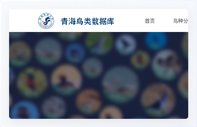 交互設(shè)計、UI設(shè)計、網(wǎng)站設(shè)計